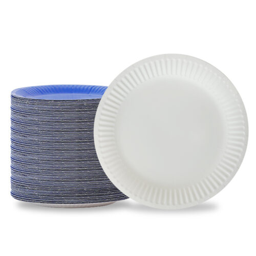 10-Inch Round Paper Plate