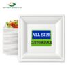 Square Paper Plate (218*218*20mm)