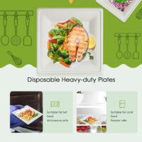 Square Paper Plate (218*218*20mm)