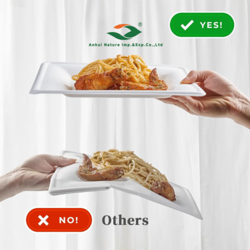 Rectangle Paper Plate