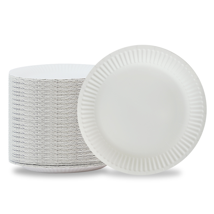 Round Paper Plate