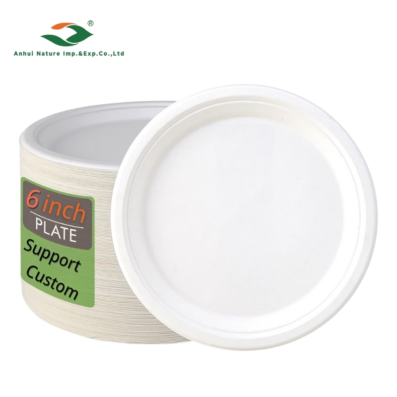 Round Paper Plate