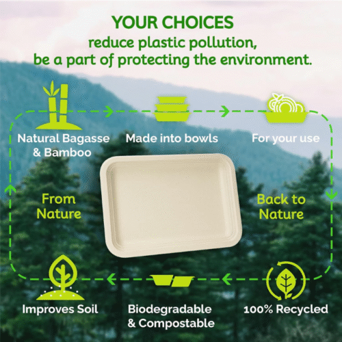 Rectangle Paper Plate