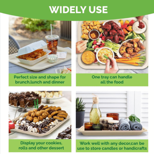 Rectangle Paper Plate