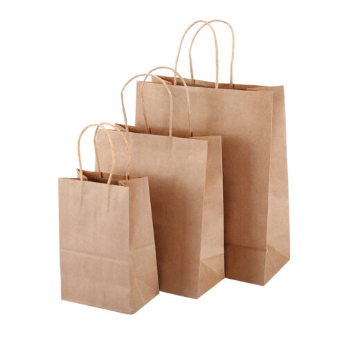 Twisted Handle Paper Bag