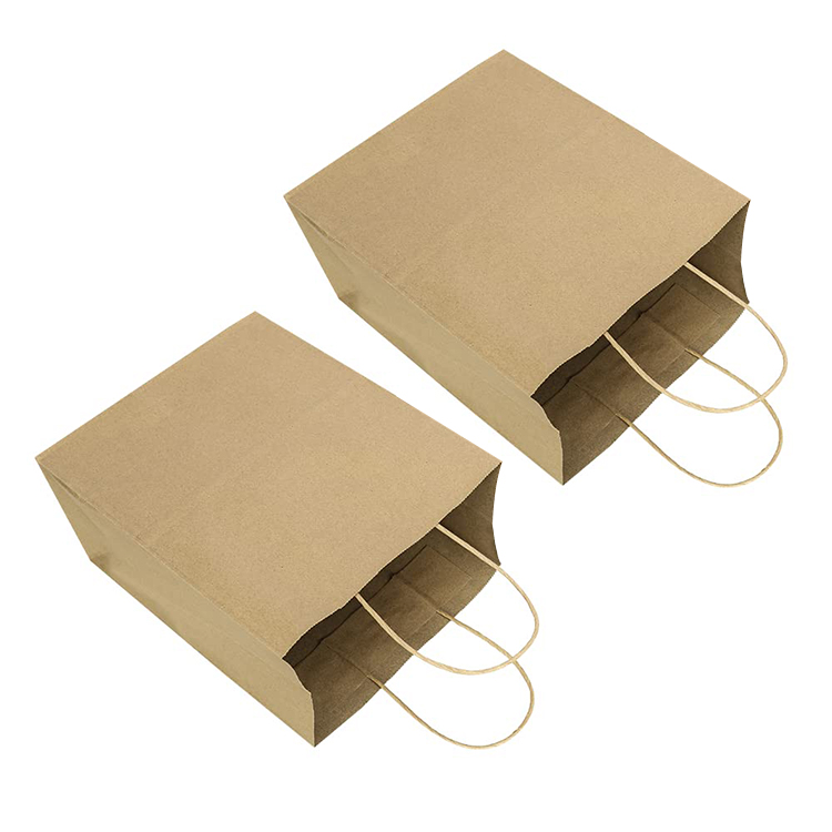 Twisted Handle Paper Bag (31*42*13cm)