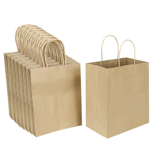 Twisted Handle Paper Bag