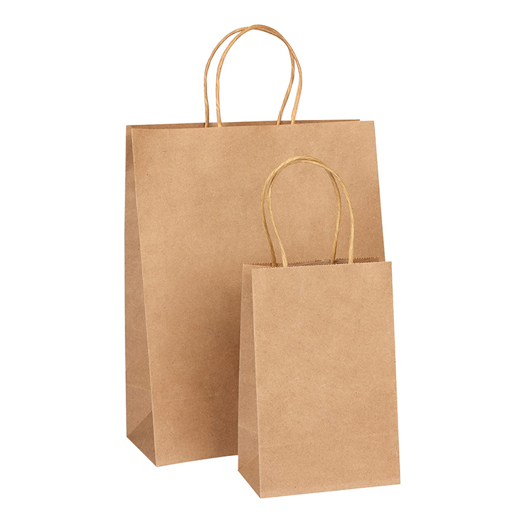 Twisted Handle Paper Bag (21*16*8cm)