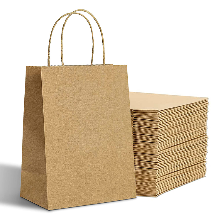 Twisted Handle Paper Bag (27*21*14cm)