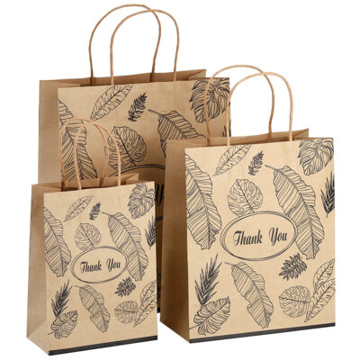 Twisted Handle Paper Bag