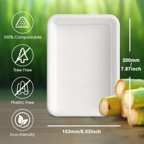 Rectangle Paper Plate