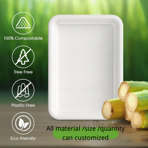 Rectangle Paper Plate