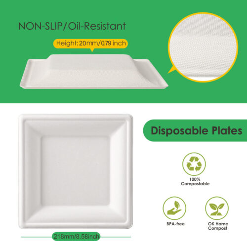 Square Paper Plate (218*218*20mm)