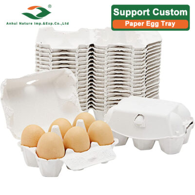 Paper Egg Tray