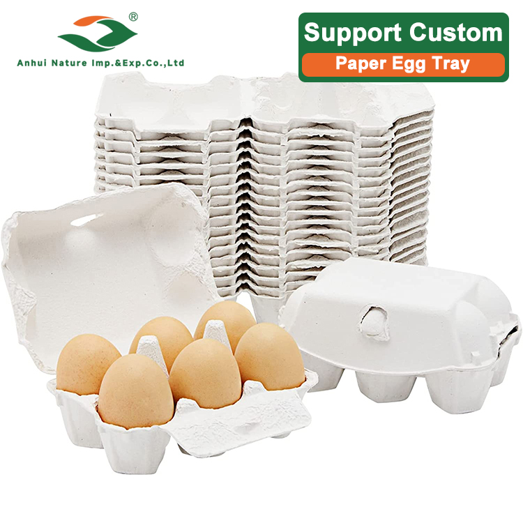 Multi-Size Paper Egg Tray Series