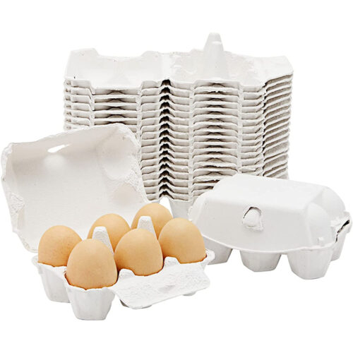 Paper Egg Tray