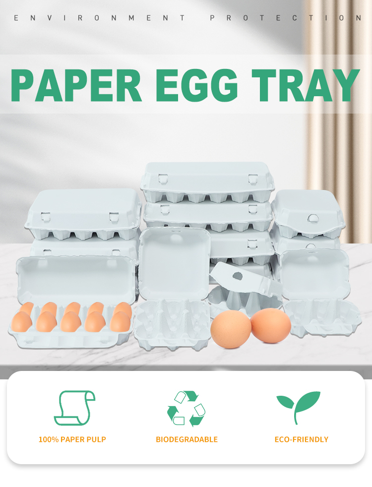 Paper Egg Tray