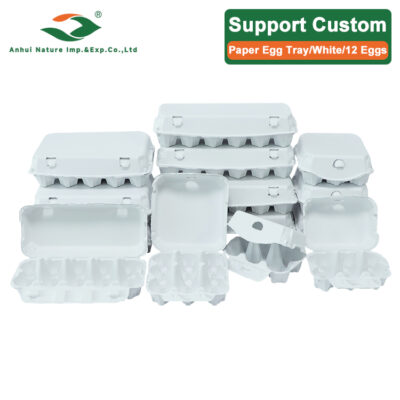 White 12 Eggs Paper Egg Tray