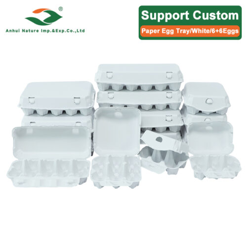 White 6+6 Eggs Paper Egg Tray