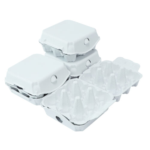 White 10 Eggs Paper Egg Tray