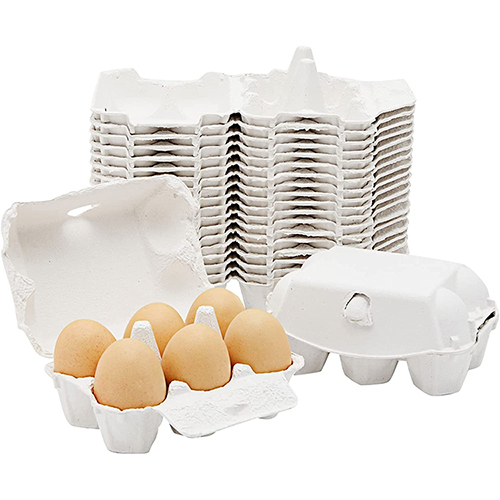 100 Recyclable 6Eggs Paper Pulp Egg Tray