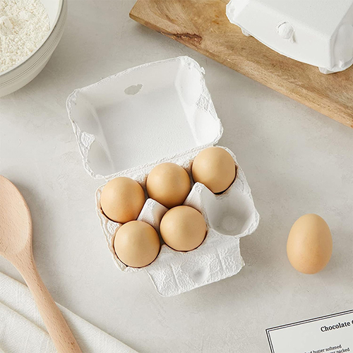 100 Recyclable 6Eggs Paper Pulp Egg Tray