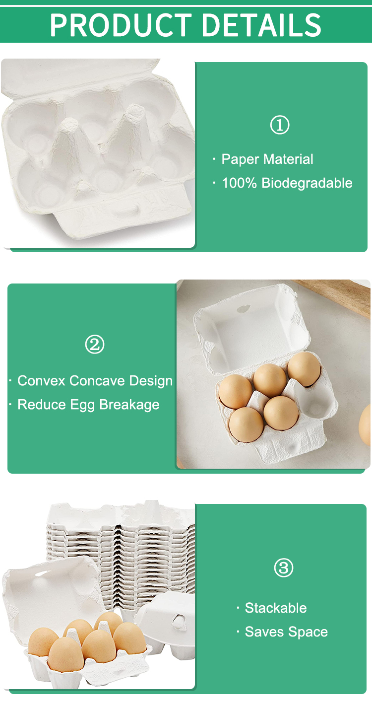 100 Recyclable 6Eggs Paper Pulp Egg Tray
