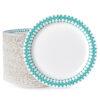 5in Round Paper Plates