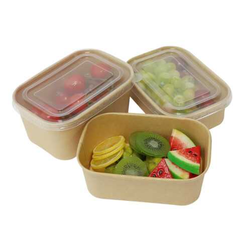 Disposable Rectangle Large Salad Bowl With Lid