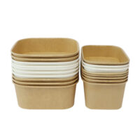 Disposable Rectangle Large Salad Bowl with Lid (3) Disposable Rectangle Large Salad Bowl With Lid