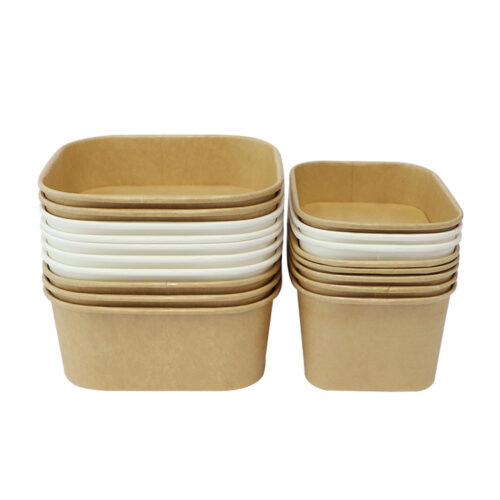 Disposable Rectangle Large Salad Bowl with Lid (3) Disposable Rectangle Large Salad Bowl With Lid