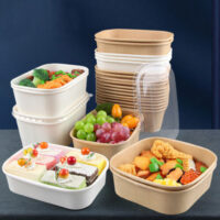Disposable Rectangle Large Salad Bowl with Lid (4) Disposable Rectangle Large Salad Bowl With Lid