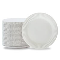 Eco-Friendly Disposable Paper Plates Party Supplies (1) Eco Friendly Disposable Paper Plates Party Supplies