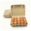 Paper Egg Carton 20 Egg Capacity Takeaway Packaging