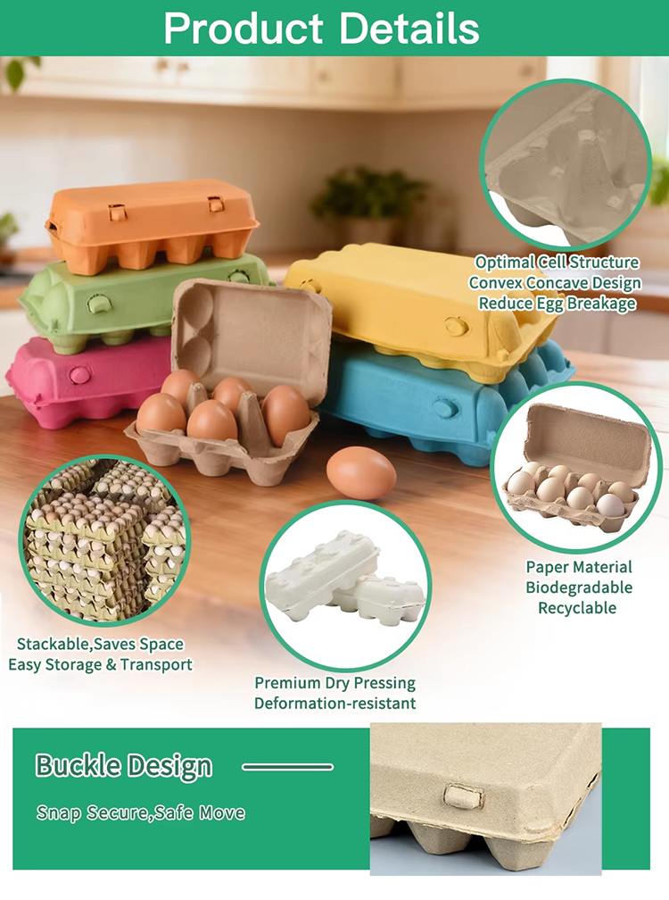 Paper Egg Carton 20 Egg Capacity Takeaway Packaging