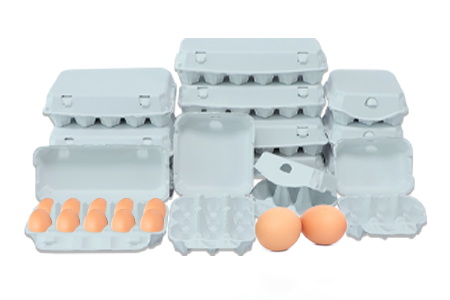Paper Egg Tray