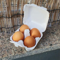 Paper-Pulp Egg Cartons - 100% Recyclable Egg Trays (2) Paper Pulp Egg Cartons 100 Recyclable Egg Trays