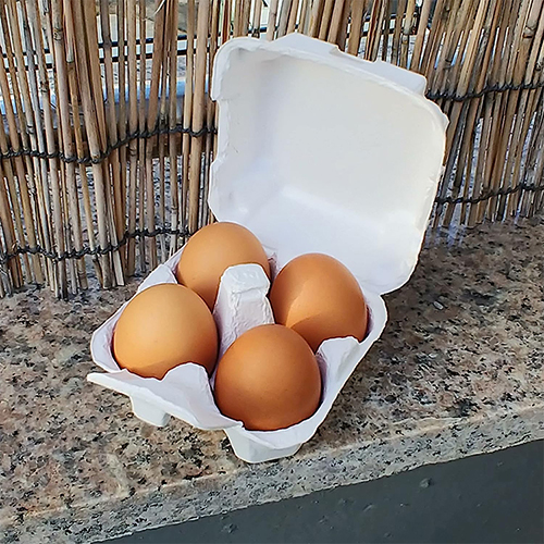 Paper-Pulp Egg Cartons - 100% Recyclable Egg Trays (2) Paper Pulp Egg Cartons 100 Recyclable Egg Trays