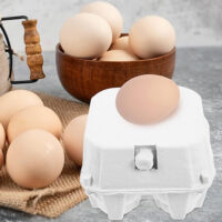 Paper-Pulp Egg Cartons - 100% Recyclable Egg Trays (3) Paper Pulp Egg Cartons 100 Recyclable Egg Trays