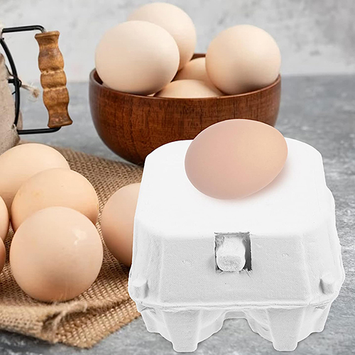 Paper-Pulp Egg Cartons - 100% Recyclable Egg Trays (3) Paper Pulp Egg Cartons 100 Recyclable Egg Trays