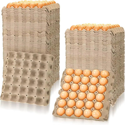 30 Cell Paper Egg Tray For Chicken Egg Packaging Tray