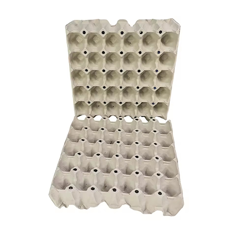 Paper Egg Cartons And Trays Bulk Wholesale