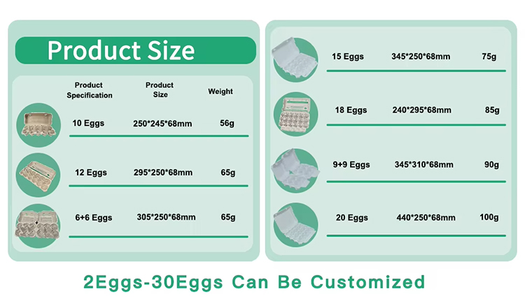 Paper Egg Cartons And Trays Bulk Wholesale