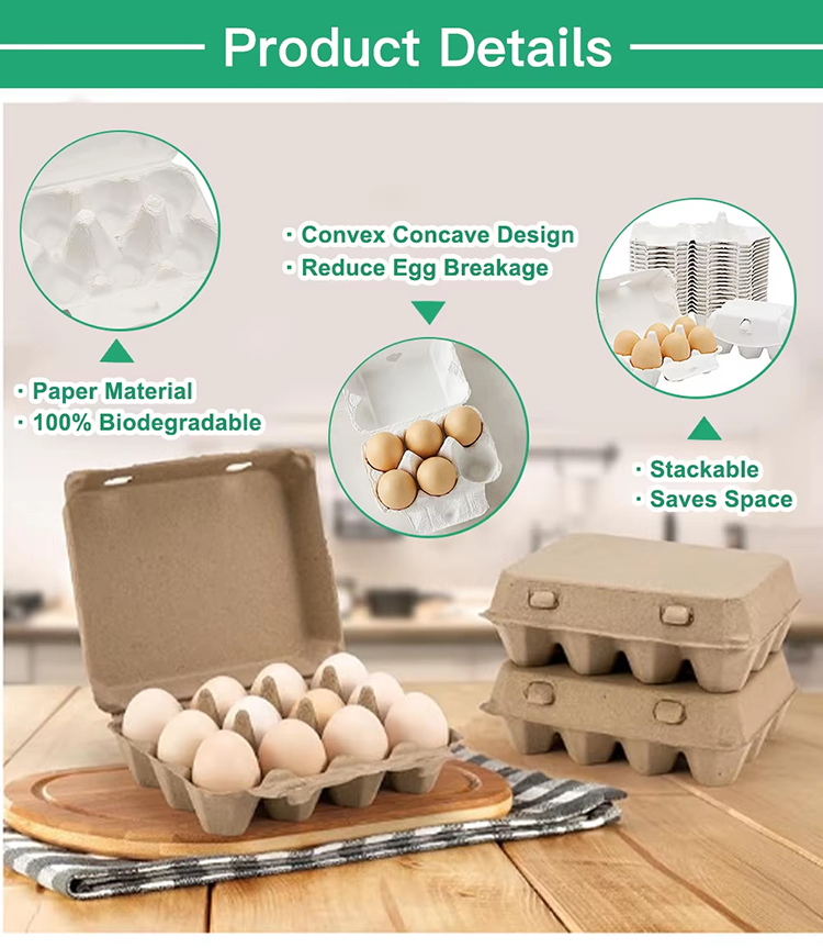 Paper Egg Cartons And Trays Bulk Wholesale
