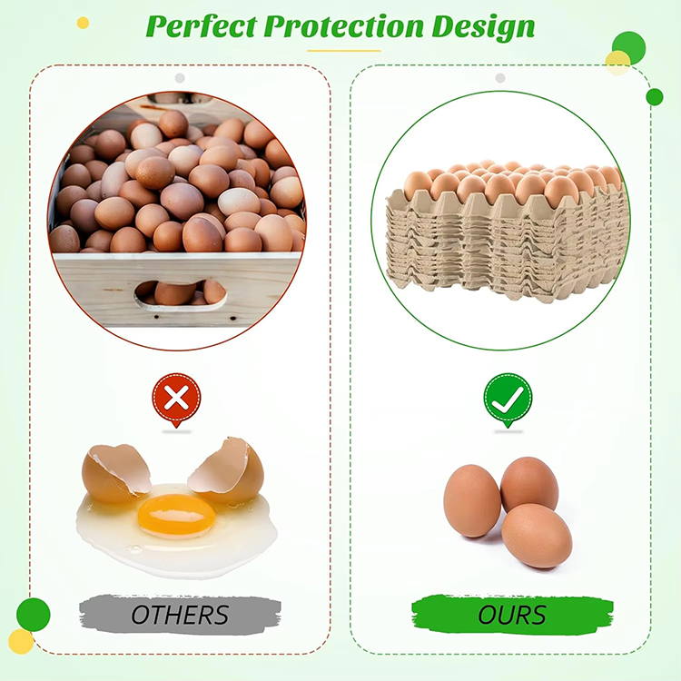 Paper Egg Cartons And Trays Bulk Wholesale
