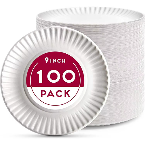 Paper Party Plates Disposable (1) Paper Party Plates Disposable