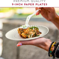 Paper Party Plates Disposable (5) Paper Party Plates Disposable