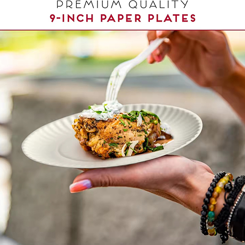 Paper Party Plates Disposable (5) Paper Party Plates Disposable