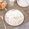 Paper Plates Multiple Sizes Bulk Wholesale (4) Paper Plates Multiple Sizes Bulk Wholesale