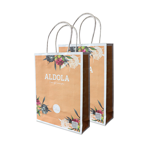Printed Kraft Paper Bags